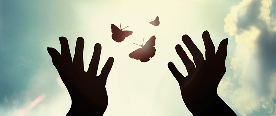 Movement Means Life—for Body and Soul