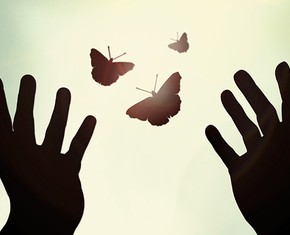 Movement Means Life—for Body and Soul