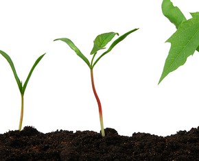 The Four Stages on Our Mystical Journey