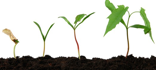 The Four Stages on Our Mystical Journey