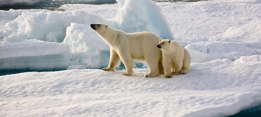 Eve and Adam and Climate Change