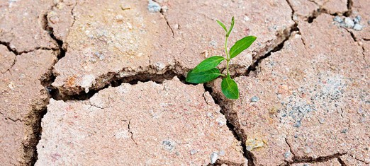 Finally! Some Good Climate Change News!