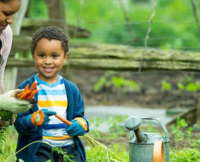 El día de la Tierra, todos somos jardineros