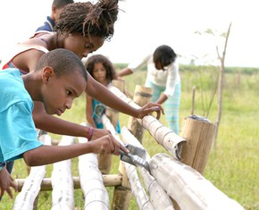 The Forest, the House of Worship and the Future
