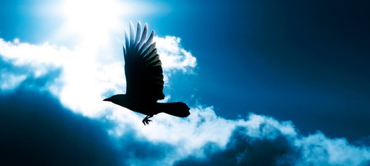 What if God Sends Us Messengers?
