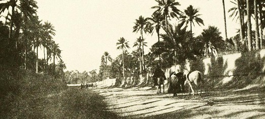 From Paradise to a Harsh Exile: The 12th Day of Ridvan