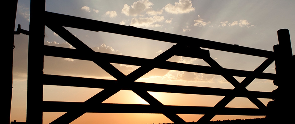 How Does Religion Begin? The Declaration of the Bab