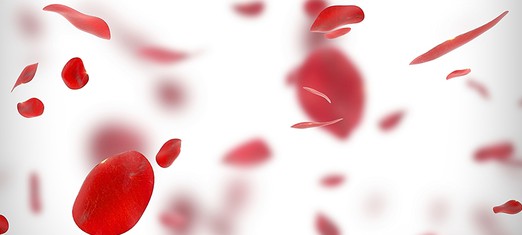 Rockets, Rose Petals and Tears—the Vibrations of Prayer