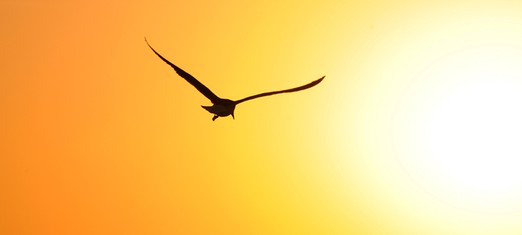 The Passing of the Founder of the Baha’i Faith