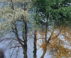 God’s Messengers and the Cycle of the Seasons