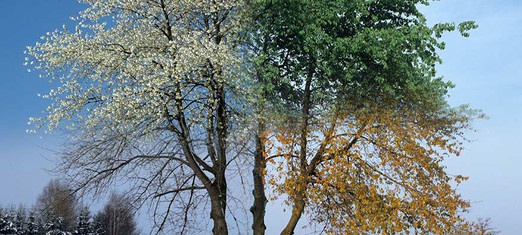 God’s Messengers and the Cycle of the Seasons