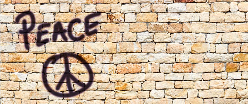 How Can We Stop Killing Each Other?