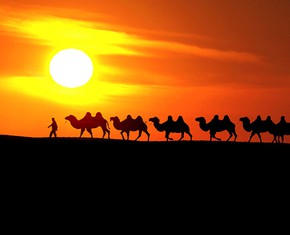 The Prophets and Their Flocks