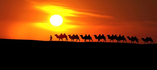 The Prophets and Their Flocks