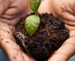 Cultivating the Fertile Gardens of Our Inner Life