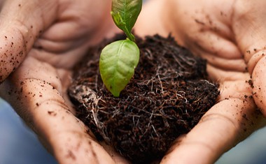 Cultivating the Fertile Gardens of Our Inner Life
