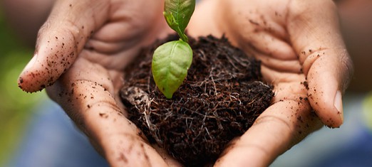 Cultivating the Fertile Gardens of Our Inner Life
