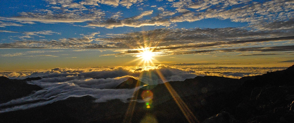 Want to Love God? Love the Light