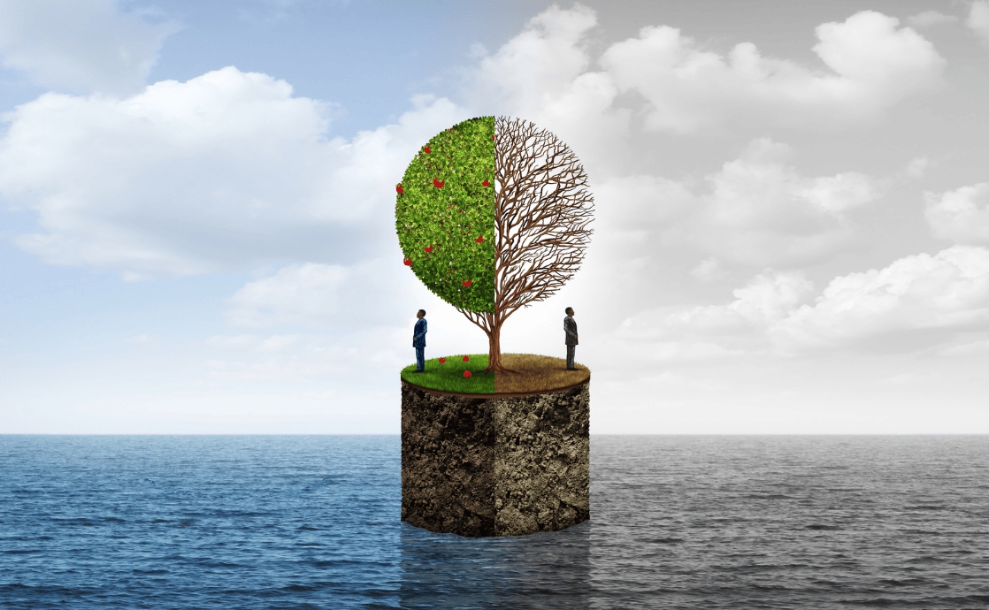 Extreme Poverty and Extreme Wealth, Explained