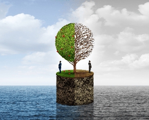 Extreme Poverty and Extreme Wealth, Explained