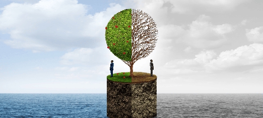 Extreme Poverty and Extreme Wealth, Explained