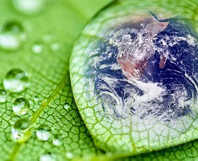 A Sustainable Environment—Service to the Common Good