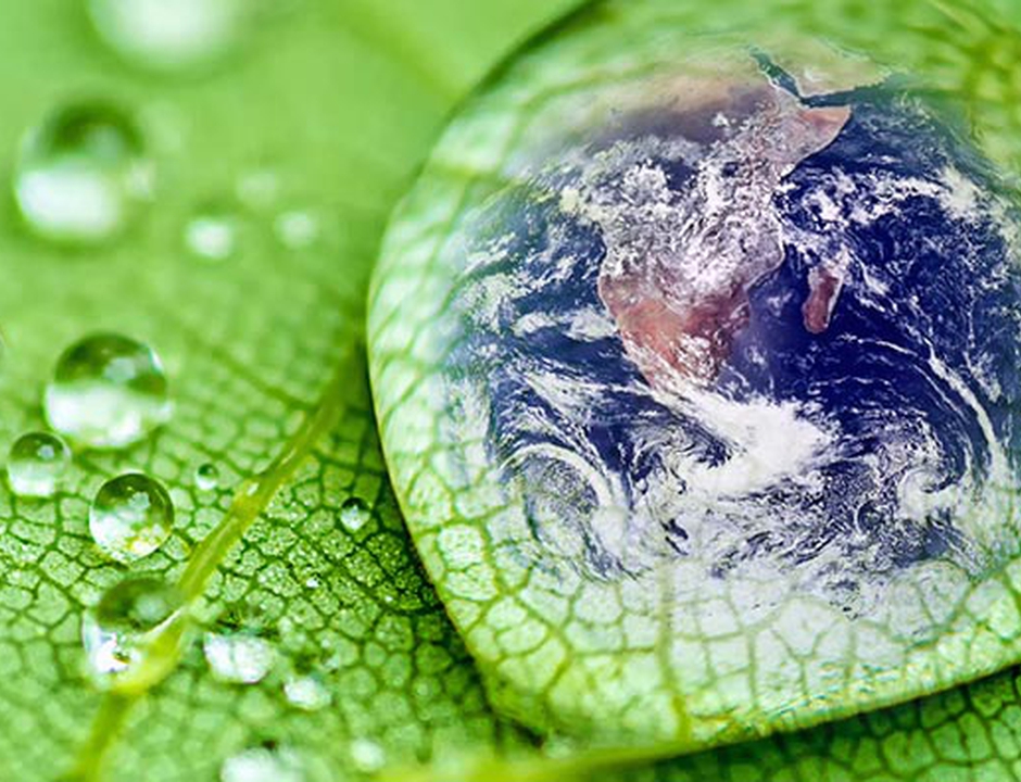 A Sustainable Environment—Service to the Common Good