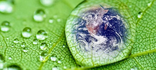 A Sustainable Environment—Service to the Common Good