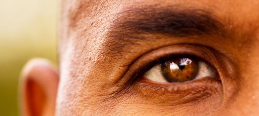 The Pupil of the Eye: An Ennobling Racial Metaphor