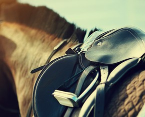 Accidental Alignment: How Challenges Can Change Your Perspective