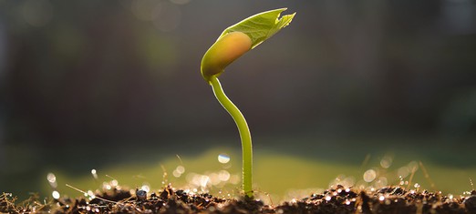 Justice: The Seed of Civilization