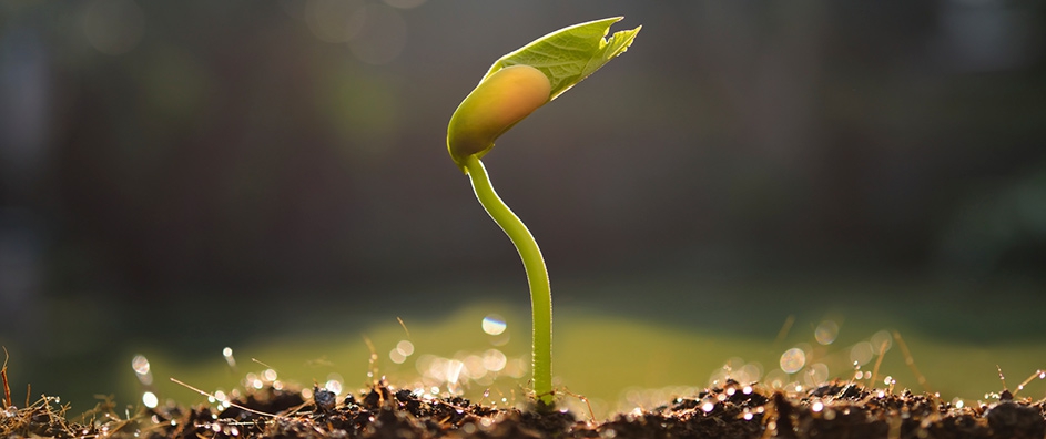 Justice: The Seed of Civilization