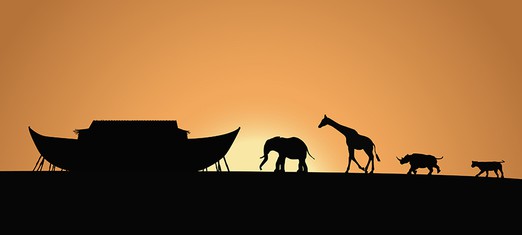 Deluge Myths, Noah’s Ark and the Renewal of Religion