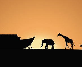 Deluge Myths, Noah’s Ark and the Renewal of Religion