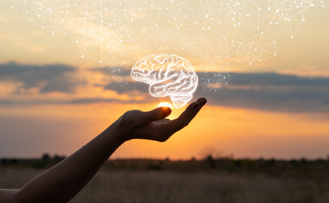 El cerebro humano: ¿qué parte contiene la conciencia?