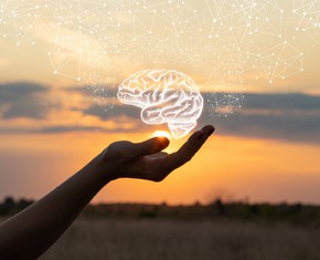 The Human Brain: Which Part Contains the Conscience?