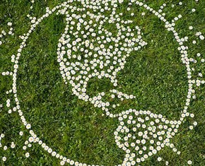 Does God Want Us to be Green?