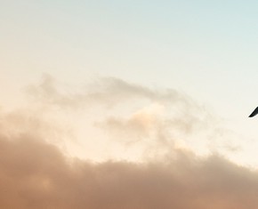 Marking the Passing of Abdu’l-Baha