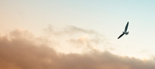 Marking the Passing of Abdu’l-Baha