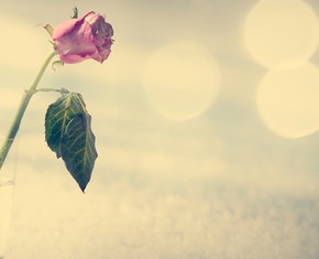 Death: Absolutely Imaginary