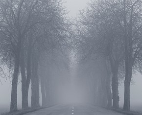 Death: The Elephant in Our Living Rooms