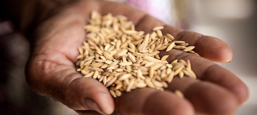Feed the Poor, Divide What You Have