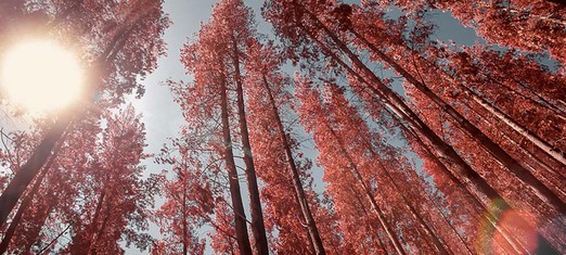 The Principle of the Power of the Holy Spirit