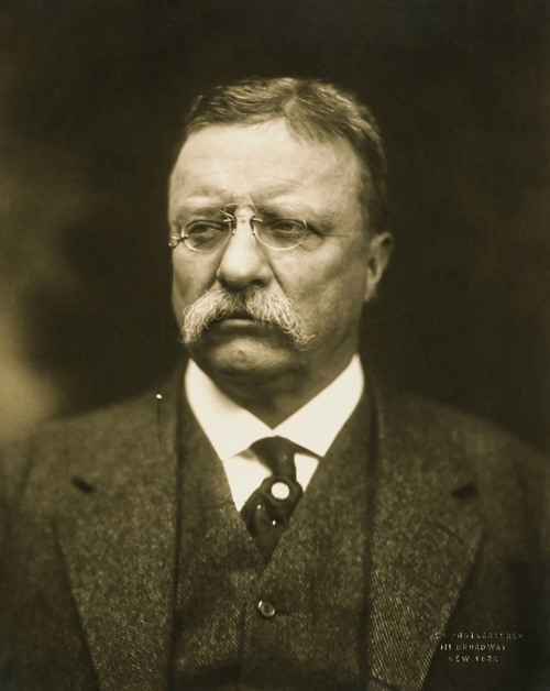 Theodore-Roosevelt