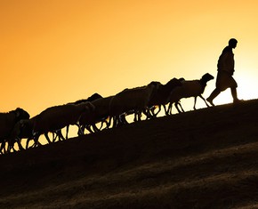 What Does it Mean to Recognize the Prophet of God?