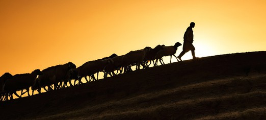 What Does it Mean to Recognize the Prophet of God?