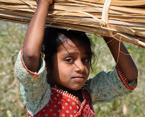 Extreme Poverty and Hunger—on the Decline