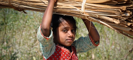 Extreme Poverty and Hunger—on the Decline
