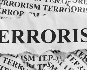 Terrorism, Death and Assimilation