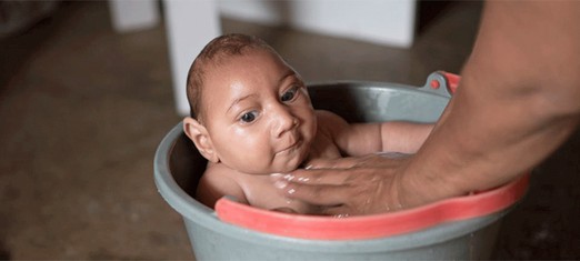 The Zika Virus, Public Health and One World
